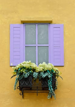 Window with flower pots