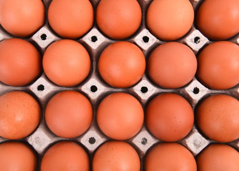 group of eggs in paper tray