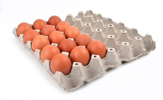 eggs in paper tray on white background