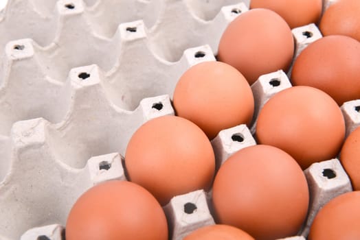 group of eggs in paper tray