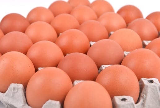 group of eggs in paper tray