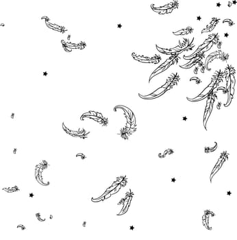 vector illustration of feather mono hrom background