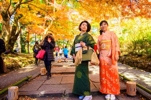 fall season, japan