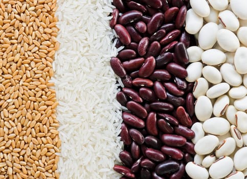 Mixed grains of wheat grain, white jasmin rice, red kidney bean and white kidney bean