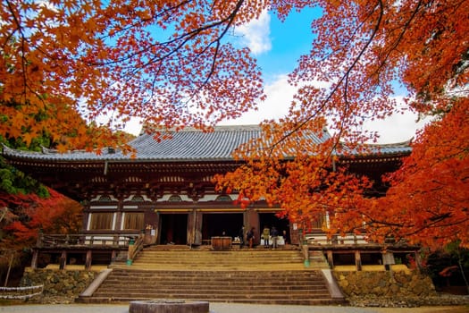 Kyoto, Japan - November 20, 2013: Jingo-ji is a Buddhist temple in Kyoto. It stands on Mount Takao to the northwest of the center of the city. The temple adheres to Shingon Buddhism