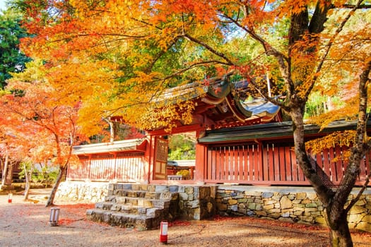 Kyoto, Japan - November 20, 2013: Jingo-ji is a Buddhist temple in Kyoto. It stands on Mount Takao to the northwest of the center of the city. The temple adheres to Shingon Buddhism