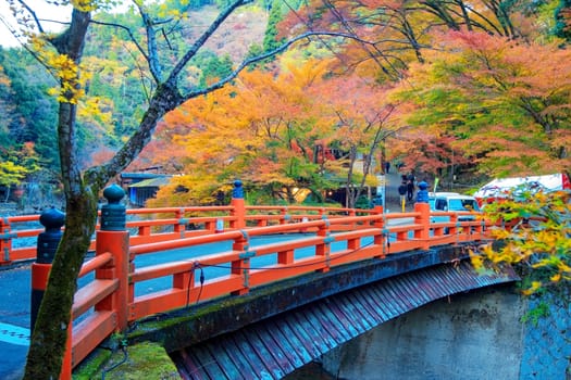 Kyoto, Japan - November 20, 2013: Jingo-ji is a Buddhist temple in Kyoto. It stands on Mount Takao to the northwest of the center of the city. The temple adheres to Shingon Buddhism