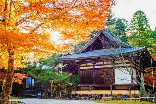 Kyoto, Japan - November 20, 2013: Jingo-ji is a Buddhist temple in Kyoto. It stands on Mount Takao to the northwest of the center of the city. The temple adheres to Shingon Buddhism