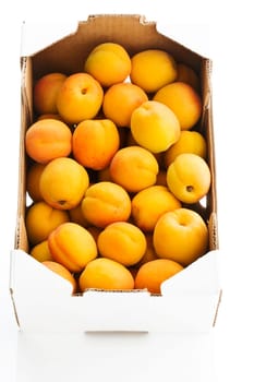 Apricots,Apricots