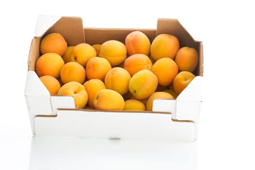 Apricots,Apricots