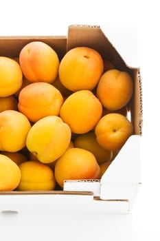 Apricots,Apricots
