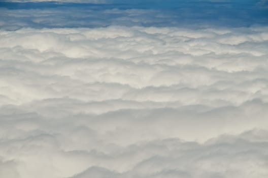 High Clouds over Pine Cone Trees Forest in Tenerife Island