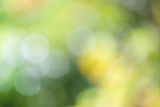 Abstract background color in selective focus.