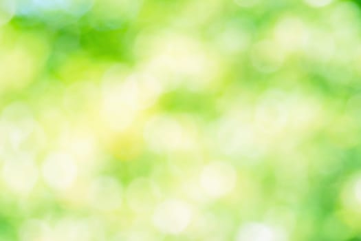 Abstract background color in selective focus.