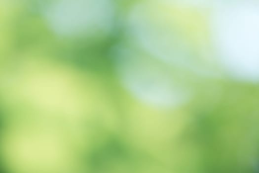 Abstract background color in selective focus.