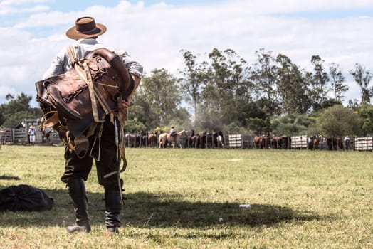 Gaucho in the campo, Maldonado, Uruguay