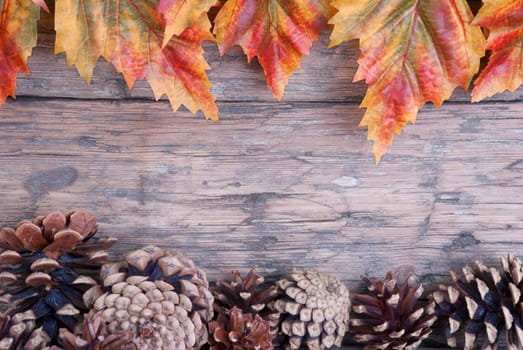 Fall Background with Frame of Autumn Leaves and Fir Cones