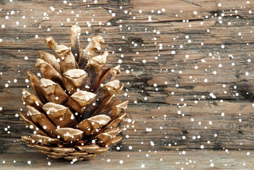 Golden Fir Cone on Wood with Snow as Christmas or Winter Background