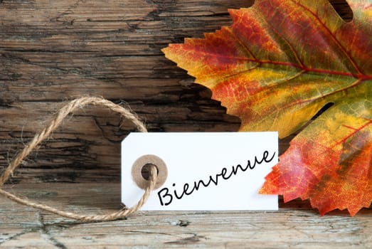 The French Word Bienvenue, which means Welcome, on a Label with Falll Leaves