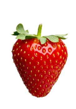 Strawberry close-up