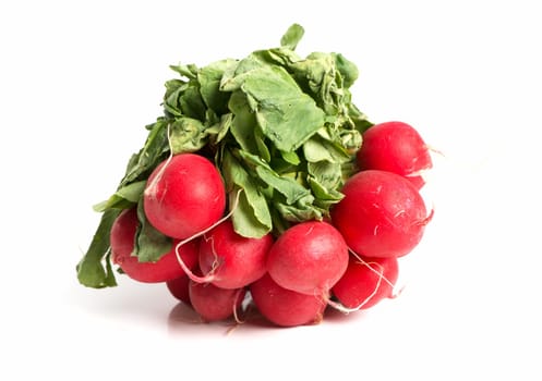 A Covenant Of Radish