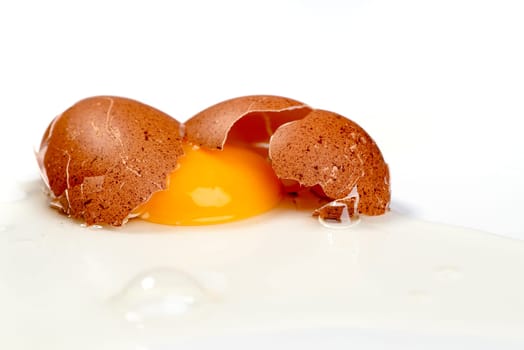 Broken egg