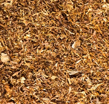 Tobacco
