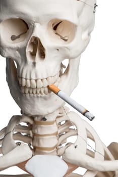 Skeleton with cigarette