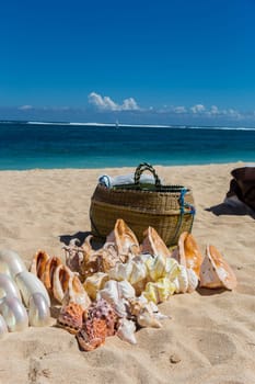 Collected mussels are put up for sale by souvenir dealers on the beach in Bali