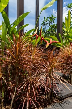 Quiet resort village town in Bali with lush vegetation in summer with blue sky