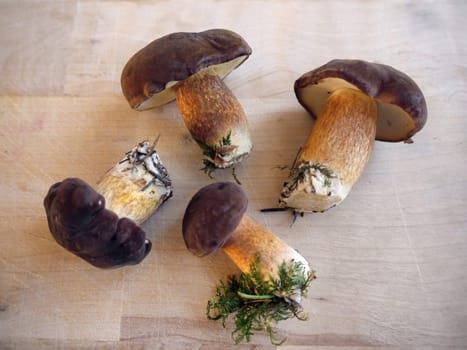 Porcini mushrooms in the kitchen