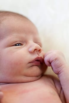 Little baby toddler newborn naked on a white fur as Detal