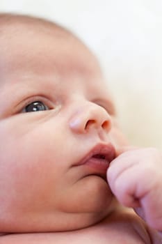 Little baby toddler newborn naked on a white fur as Detal