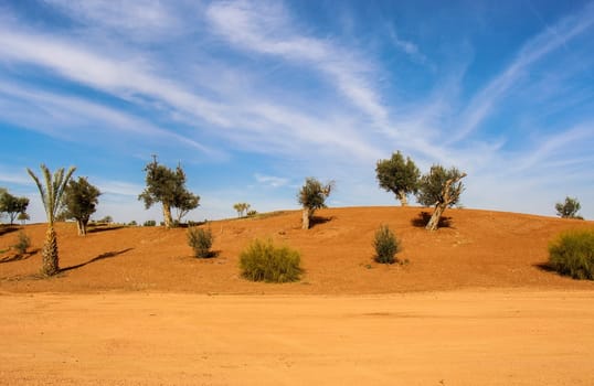Desert landscape with dunes and sand with blue sky and white clouds