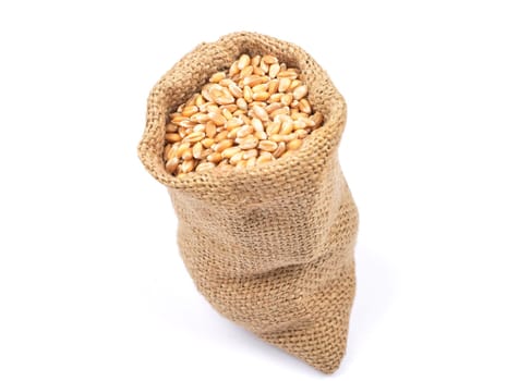 Grain bag on white