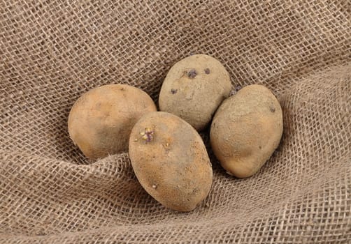 Potatoes on jute