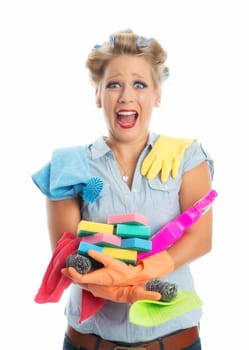 Housewife with cleaning equipment