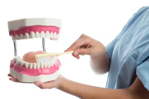 Proper brushing of teeth