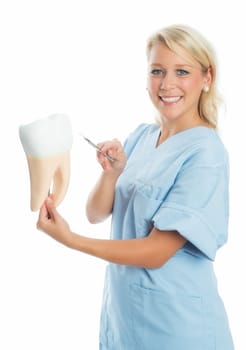 Dentist explains dental structure
