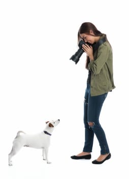 Photographer photographs dog