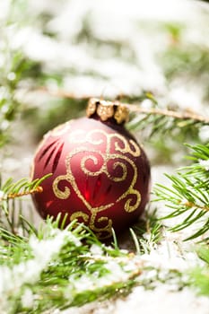 Decoration for Christmas with red and gold Christmas tree balls in front of green fir branches in the background