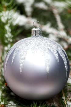 Silver Christmas tree balls in green fir branches with white shiny snow as macro detail