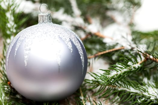 Silver Christmas tree balls in green fir branches with white shiny snow as macro detail