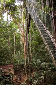 a suspension bridge made of ropes and wood in the rainforest naturally tropical environment