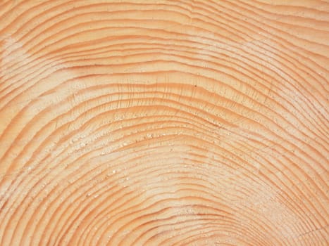 Wood grain background