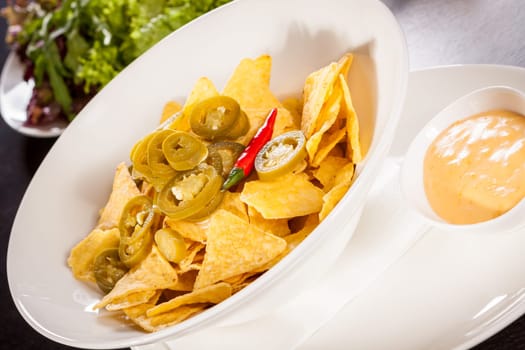 Bowl with nachos tortillas with pepperoni and fresh tomato salsa in a plate
