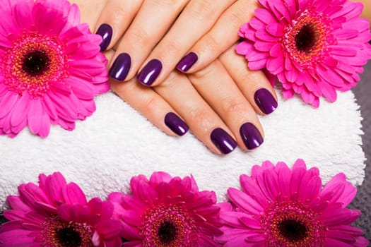 Woman with manicured hands and gerbera flowers in a nail salon on a white towel