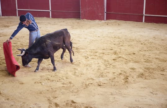 BADAJOZ, SPAIN, JUNE 21