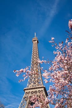 eiffeltower in paris landmark in front of blue sky in spring architecture view