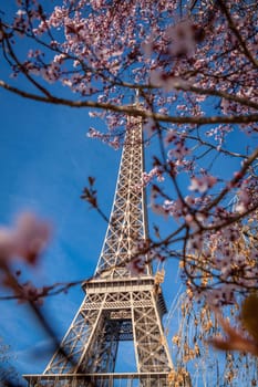 eiffeltower in paris landmark in front of blue sky in spring architecture view